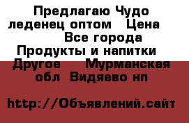 Предлагаю Чудо леденец оптом › Цена ­ 200 - Все города Продукты и напитки » Другое   . Мурманская обл.,Видяево нп